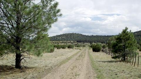 2582 E Spring Valley Rd, Williams, AZ 86046 photo 15