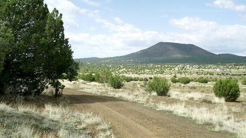2582 E Spring Valley Rd, Williams, AZ 86046 photo 12