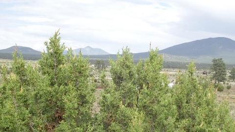 2582 E Spring Valley Rd, Williams, AZ 86046 photo 2