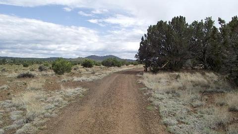 2582 E Spring Valley Rd, Williams, AZ 86046 photo 11