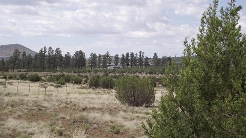 2582 E Spring Valley Rd, Williams, AZ 86046 photo 9