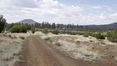 2582 E Spring Valley Rd, Williams, AZ 86046 photo 4