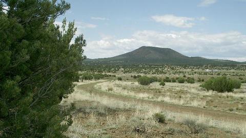 2582 E Spring Valley Rd, Williams, AZ 86046 photo 7