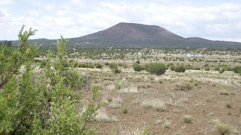 2582 E Spring Valley Rd, Williams, AZ 86046 photo 17