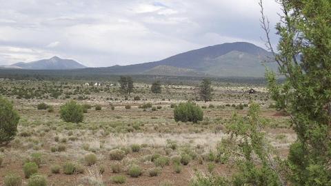 2582 E Spring Valley Rd, Williams, AZ 86046 photo 8