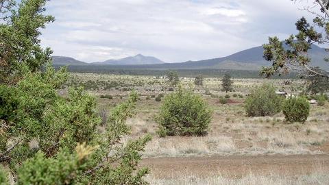 2582 E Spring Valley Rd, Williams, AZ 86046 photo 5