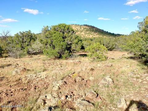 802 E Sidewinder Rd, Williams, AZ 86046 photo 1