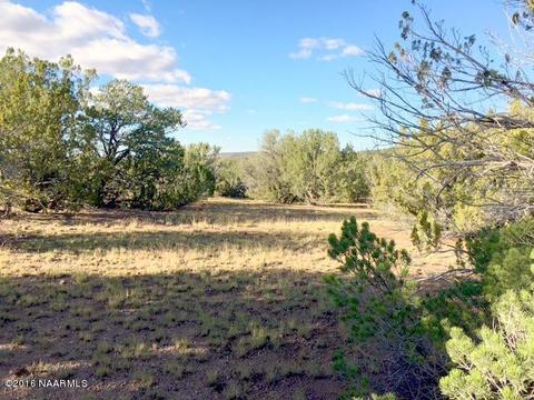 802 E Sidewinder Rd, Williams, AZ 86046 photo 2