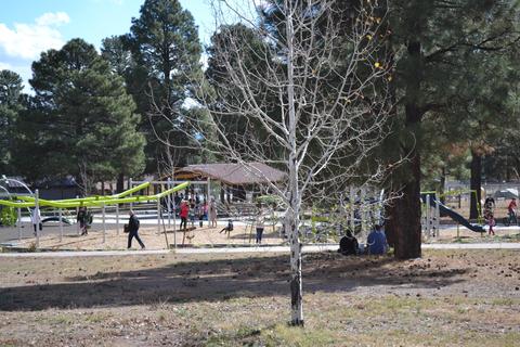 3101 E Lockett Rd, Flagstaff, AZ 86004 photo 12