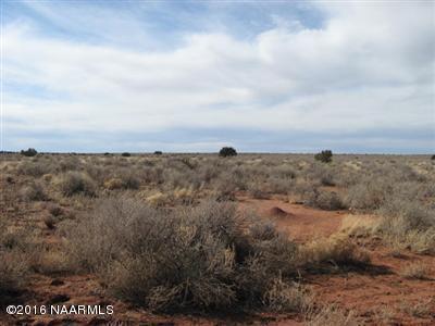 2329 E Page Dr, Williams, AZ 86046 photo 1