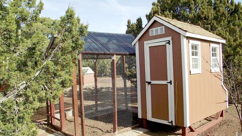 2314 E Spruce St, Williams, AZ 86046 photo 25