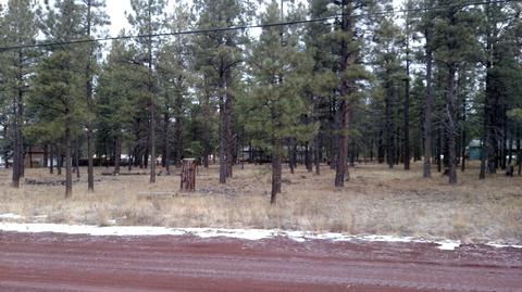 3829 E Pine Cone Dr, Williams, AZ 86046 photo 6