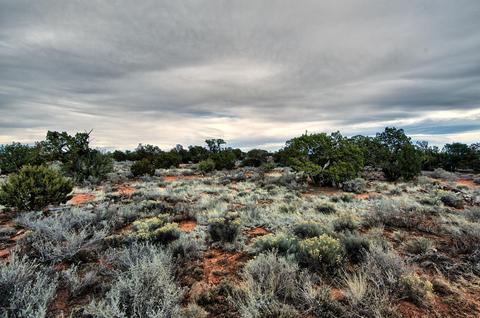 577 S Walnut Rd, Valle, AZ 86046 photo 1