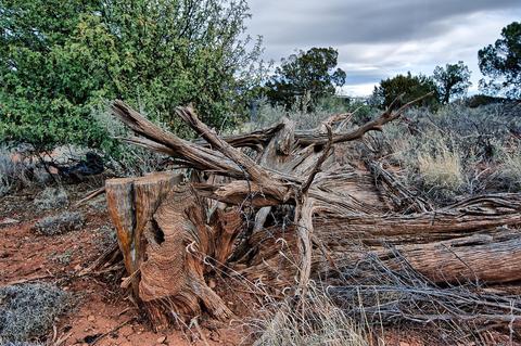 577 S Walnut Rd, Valle, AZ 86046 photo 3