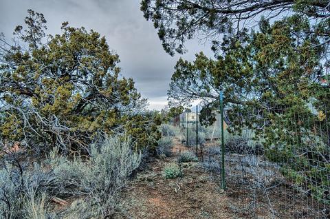 577 S Walnut Rd, Valle, AZ 86046 photo 6