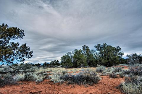 577 S Walnut Rd, Valle, AZ 86046 photo 4