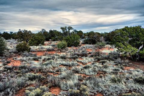 577 S Walnut Rd, Valle, AZ 86046 photo 2