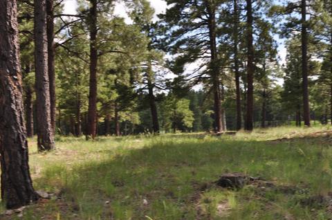 2701 E Byrds View Dr, Flagstaff, AZ 86005 photo 1