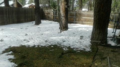 916 Celilo, Flagstaff, AZ 86005 photo 13