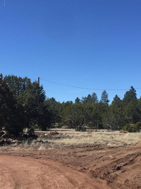 204 E Greenbriar Dr, Williams, AZ 86046 photo 4