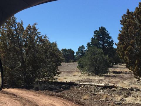 204 E Greenbriar Dr, Williams, AZ 86046 photo 3