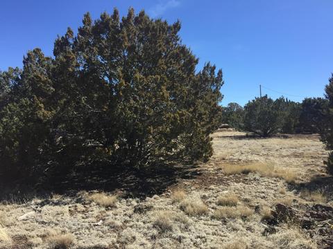 204 E Greenbriar Dr, Williams, AZ 86046 photo 1