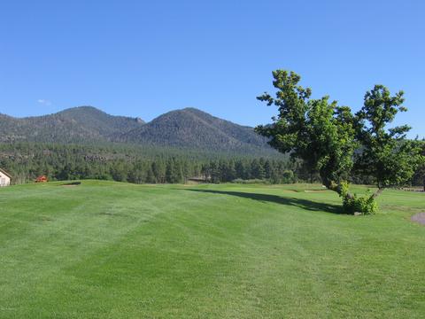 635 Brookline Loop, Williams, AZ 86046 photo 4