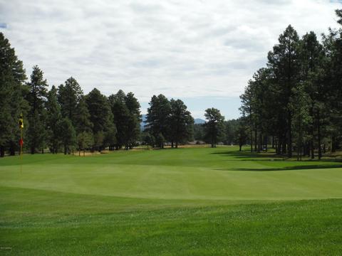 635 Brookline Loop, Williams, AZ 86046 photo 5