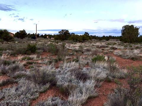 691 Walnut Rd, Valle, AZ 86046 photo 4