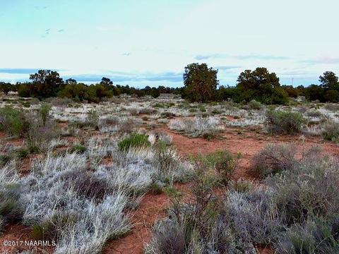 691 Walnut Rd, Valle, AZ 86046 photo 3