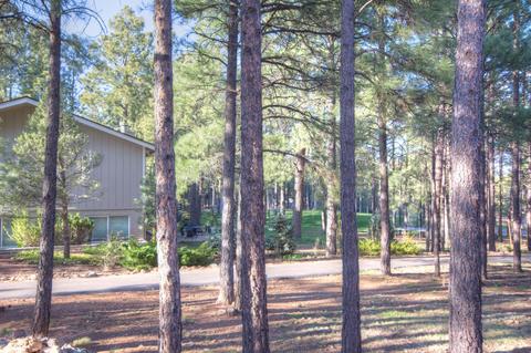 5105 E Hickory Dr, Flagstaff, AZ 86004 photo 26