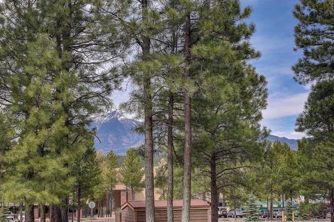 3520 Lariat Loop, Flagstaff, AZ 86005 photo 13