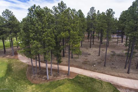 3520 Lariat Loop, Flagstaff, AZ 86005 photo 8