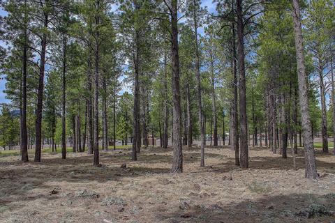 3520 Lariat Loop, Flagstaff, AZ 86005 photo 11