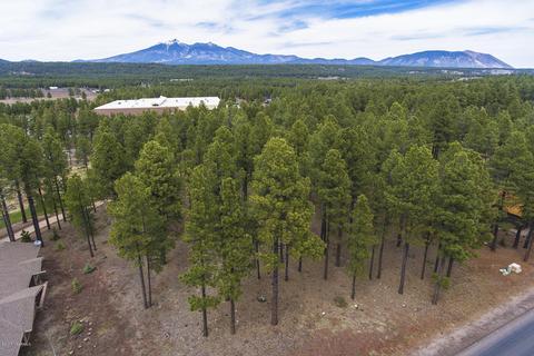 3520 Lariat Loop, Flagstaff, AZ 86005 photo 6