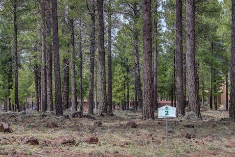 3520 Lariat Loop, Flagstaff, AZ 86005 photo 10