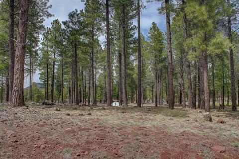 3520 Lariat Loop, Flagstaff, AZ 86005 photo 9