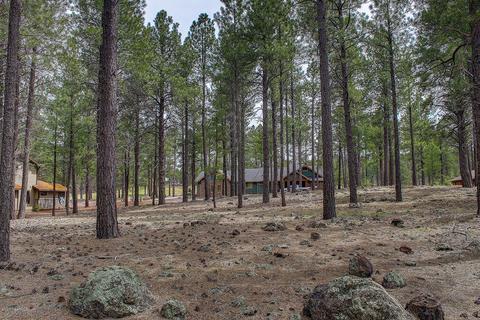 3520 Lariat Loop, Flagstaff, AZ 86005 photo 14