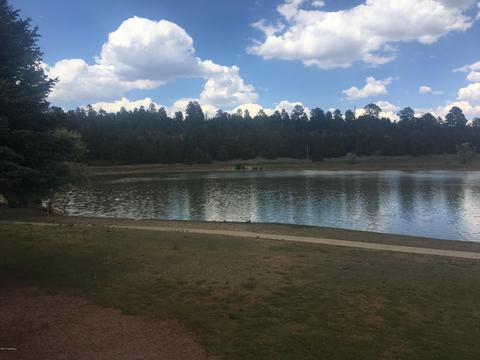 6406 E Willow Loop, Flagstaff, AZ 86004 photo 2