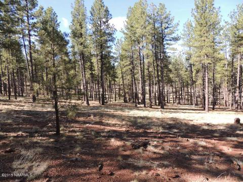 7454 E Long Bow Dr, Williams, AZ 86046 photo 1