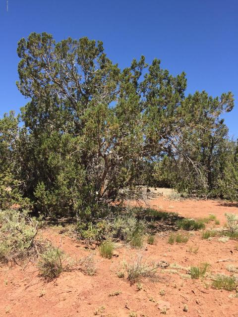 2245 Pine Rd, Williams, AZ 86046 photo 4