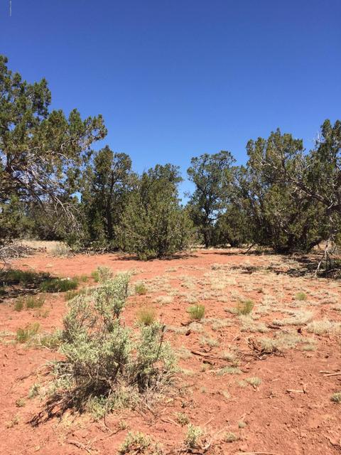 2245 Pine Rd, Williams, AZ 86046 photo 1