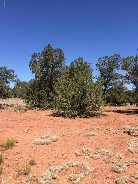 2245 Pine Rd, Williams, AZ 86046 photo 2