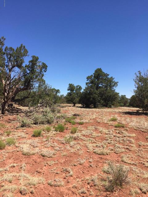 2245 Pine Rd, Williams, AZ 86046 photo 3