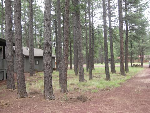 12797 E Crossbow Rd, Parks, AZ 86018 photo 9