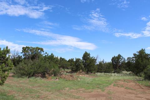 12120 Edson Rd, Flagstaff, AZ 86004 photo 3