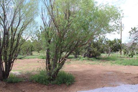 12120 Edson Rd, Flagstaff, AZ 86004 photo 5