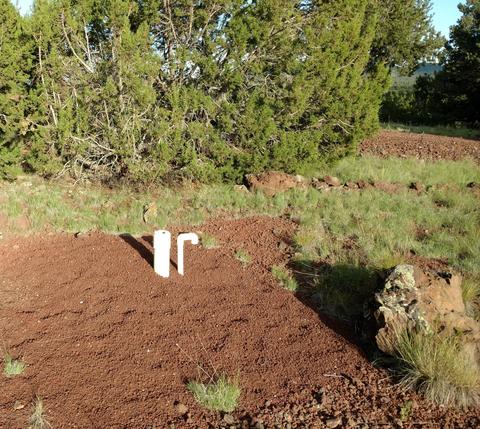 1841 E Brook Hill Rd, Williams, AZ 86046 photo 8