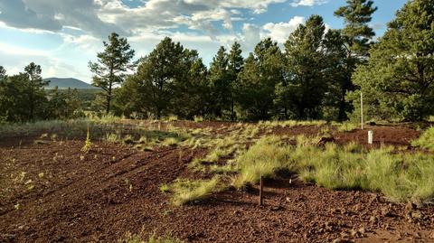 1841 E Brook Hill Rd, Williams, AZ 86046 photo 2