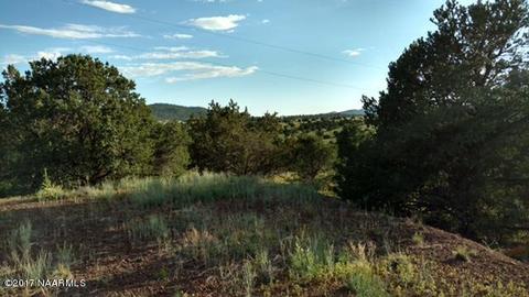 1841 E Brook Hill Rd, Williams, AZ 86046 photo 11